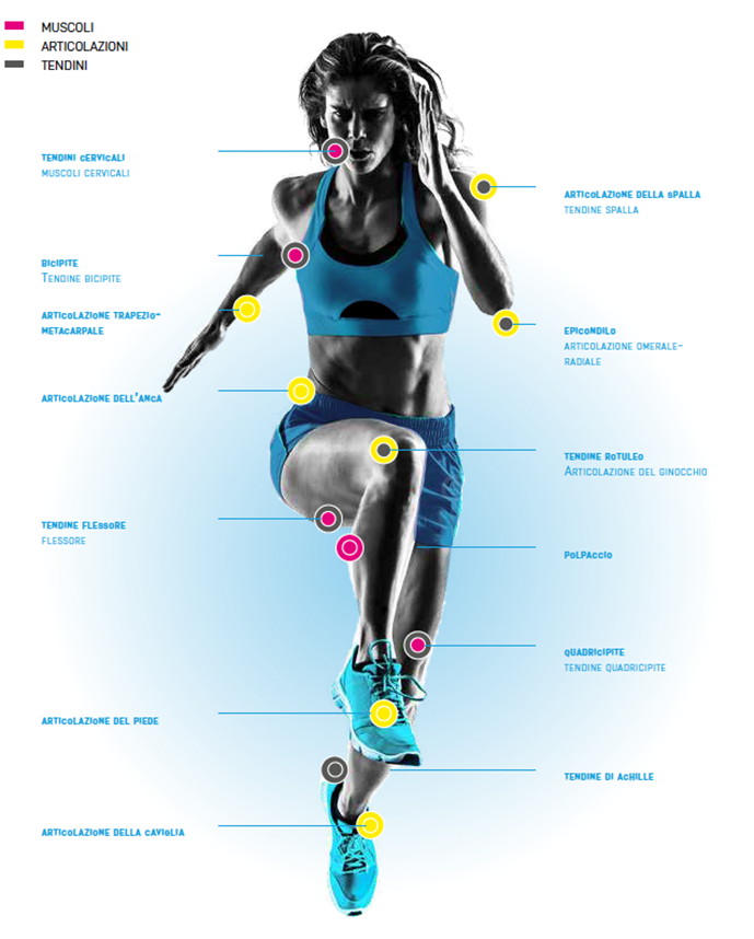 atleta articolazioni